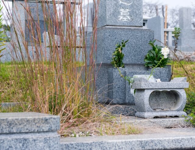 墓地の静かな風景と草花